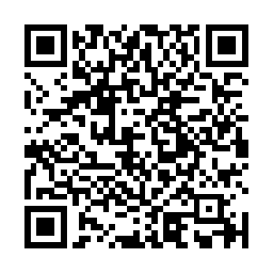 心里微微的有些不爽――这小子虽然长的没有自己帅气二维码生成