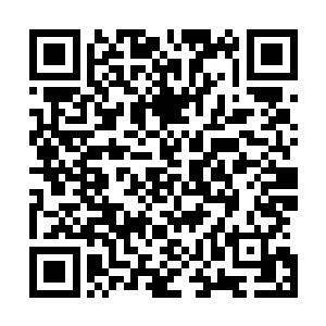 心里有点儿好奇这小家伙的交际圈什么事时候变得这么广了二维码生成