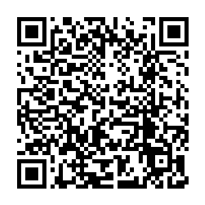 心里生出来那点愧疚举起大刀就把想要偷懒的小心思给砍了个七零八落二维码生成