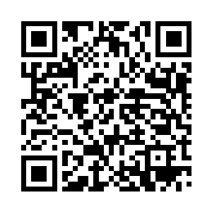 必定是燕夫人那日瞧见了阿蛮欢喜得厉害二维码生成