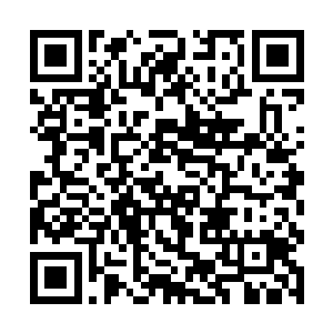 必然可以以最快的速度提升到宗师级巅峰的……或许二维码生成