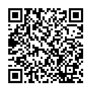 忐忑地看了眼洛天祈脸上红红的手印还有他阴郁的面色二维码生成