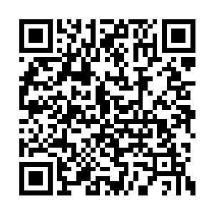 忘不了斑比和兔子桑普在冰雪上滑行玩耍的段落二维码生成