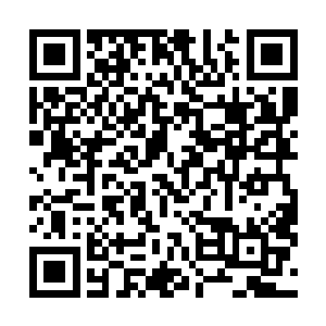 忙于对阵我和咕仔的目标鬼魂无法用眼睛即刻攻击到小舞二维码生成