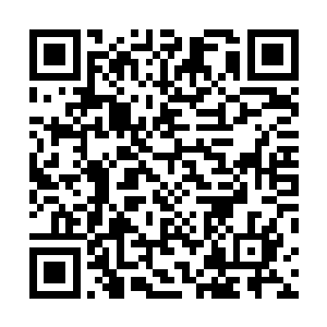 念安讲述起来他为什么会出现在公交车后备箱里的原因了二维码生成