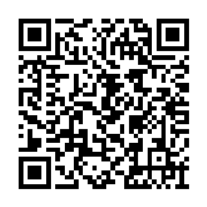 念念在他之前吃的饭菜里偷偷的加了安眠的药粉二维码生成