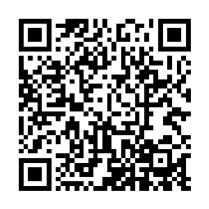 忽然又听到已经走到门口的马格里斯头也不回的对他说道二维码生成
