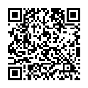 忽然就从四寸显示屏上看见一名枪手探出了半个身位二维码生成