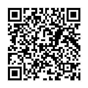 忽然见到眼前的小金竟然瞬间变成了近千米的身躯二维码生成