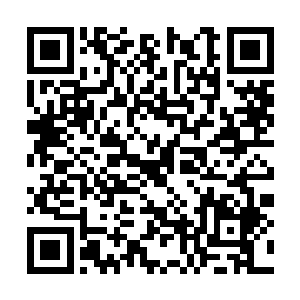 忽然间好像明白了爸爸为什么对自己说那样的话了二维码生成