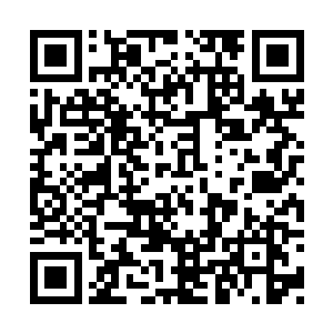 忽然kànjiàn与何九寒暄了几句的王思远踱向自己二维码生成