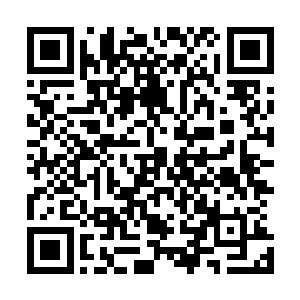 怀远堂的送来的这些恭贺的礼物礼单事先张铁已经看到过了二维码生成