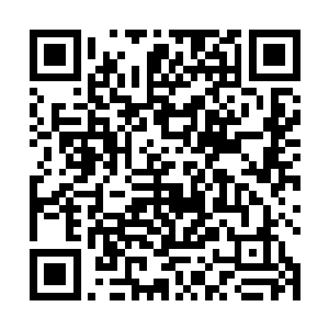 怎么也得像伟大的兰斯神上那样找一条永恒时光龙玩玩二维码生成