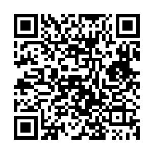 怎么内院居然又出现能械师这种掌握生化机械的人才了二维码生成