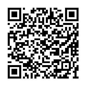 怎么可能……那个从天而降的家伙身上掉下来的二维码生成