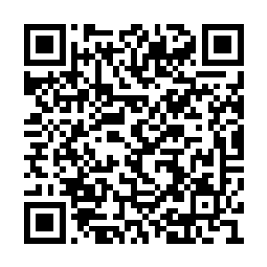怎么回事……怎么回事……刚刚发生了什么……二维码生成