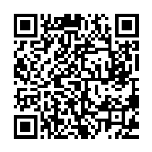 怎么算他也沒算到那颗神秘的导弹会藏在这个不起眼的小诊所二维码生成