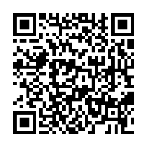 怔怔盯着填字圆盘上面刚才目光一扫而过差点忽略的二维码生成