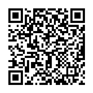 怕也不怎么相信青阳的撒那特斯病毒是靠传统中医术遏制的二维码生成