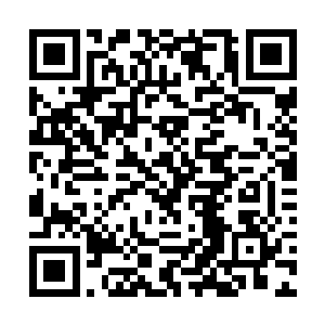 怕是在担心林烽会用极端的方法对元气咒印实施破坏二维码生成