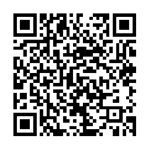 急忙把那几件性感透明的内衣内裤拿起来塞到箱子底下二维码生成
