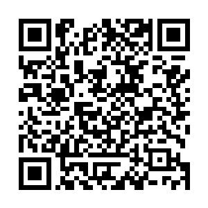 怪不得那些妖魔和人族战队都以为这里是秘境战场的边缘二维码生成