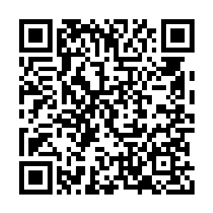 怪鱼的声波攻击虽然无法对唐天造成真正的伤害二维码生成