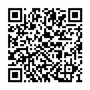 总有意外……也没有什么种子一开始就没有瑕疵二维码生成