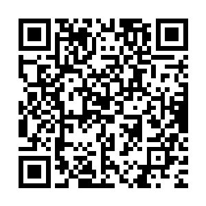 总而言之最终你赚到的钱都都会无休止的投入到那个无底洞里去二维码生成