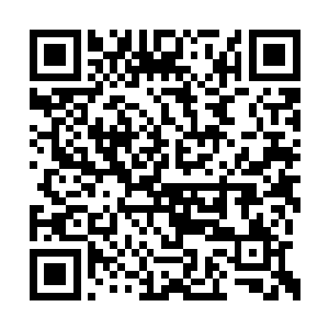 恐怕以后还想要得到这样犹如太上皇一样的待遇二维码生成