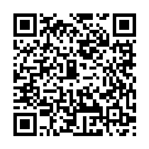 恐怕菲德尔家族就算有着天辰圣盟也早已被替代了二维码生成