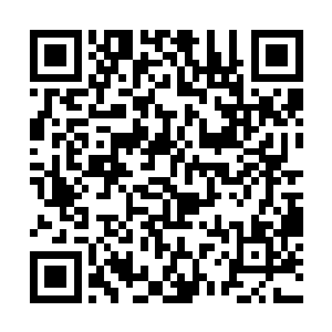 恐怕这东西从道盟的林棉联合另外两方总指挥来谈判二维码生成
