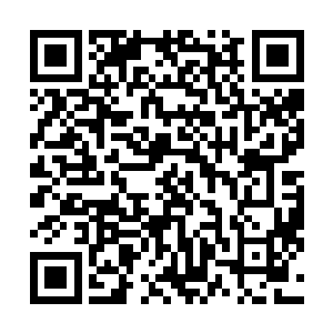 恐怕这些虫子还是会将之前的信息全部泄漏给中央控制室二维码生成