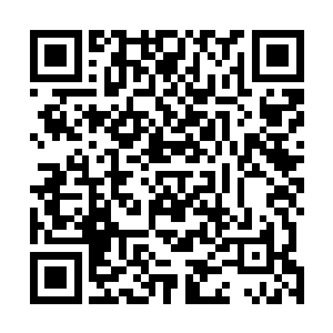 恐怕连家里面后天后期的父亲萧挺也绝对不是林烽的对手二维码生成