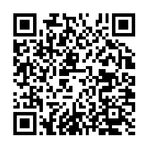 恐怖的拳头在众人的视线中直接如同妖兽一般暴击二维码生成