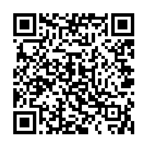 恐怖的爆炸足足持续了将近十息的时间这才平息下来二维码生成