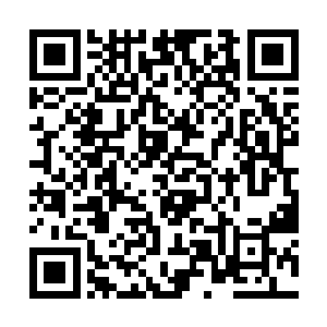 恨不得把自己的眼睛都落在那个浅浅而笑的男子身上二维码生成