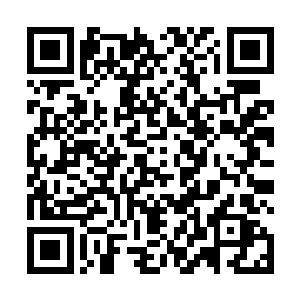 恨不得跪下来要求玛姬开恩拯救她――如果是这样的话二维码生成