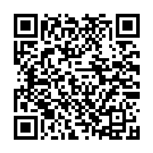 恶魔轮回小队已经在同一时间进入生化危机二世界二维码生成