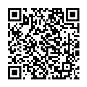 情知她这千娇万宠的闺女能说出此等懂事的话很不容易二维码生成