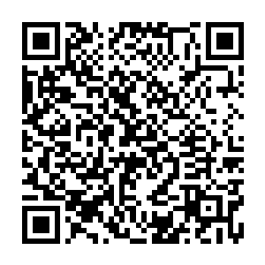 想了一会儿才猛然想起原来是上次陪苏芷妍去仓北县找种植灵液植被基地二维码生成