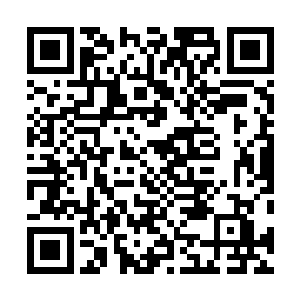 想冲出奶奶画的圆圈却一到奶奶画的线处就被阻住了身体二维码生成