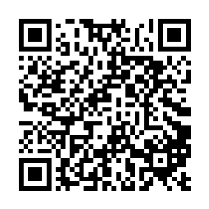 想到了老友田不缺叶秋的内心还是升起了一阵感动二维码生成