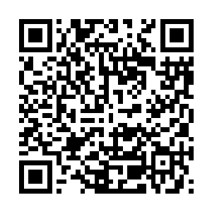 想到小狗子说过的钟氏当年嫁给顾呈带了许多嫁妆二维码生成