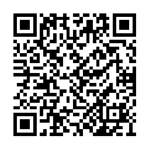 想到自己苦苦等了这么多年的净灵体要被人夺走二维码生成