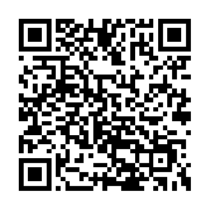 想容探着小脑袋一直躲在角落里目送着他们离开二维码生成