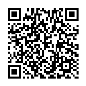 想将自己所有的精力都用在对医学知识的渴求上二维码生成