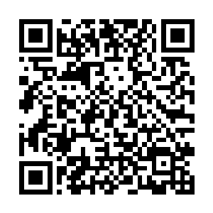 想干什么就干什么的在不违背普遍社会法则的前提下二维码生成