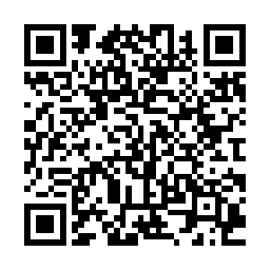 想必其他逃入谷中的败类也都和这宋无奇一样……已然得到了那二维码生成