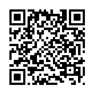 想着他们俩一起走进登机口的背影二维码生成